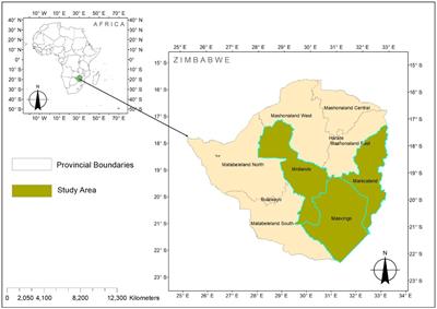 Breaking ground: transformative partnerships for inclusive bean breeding in Zimbabwe